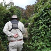  Curtis hiking Through Dense Jungle